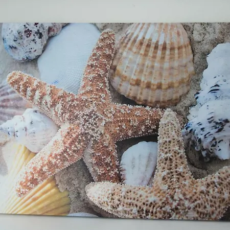 Am Park Der Sinne & Am Apartment Binz