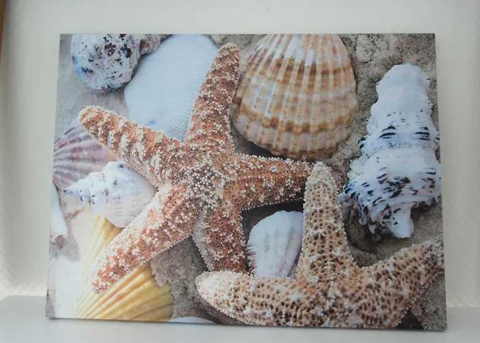 Am Park Der Sinne & Am Апартаменты Остзебад Бинц